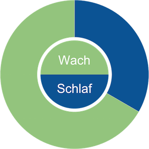 Monophasischer Schlaf