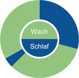 Biphasischer Schlaf